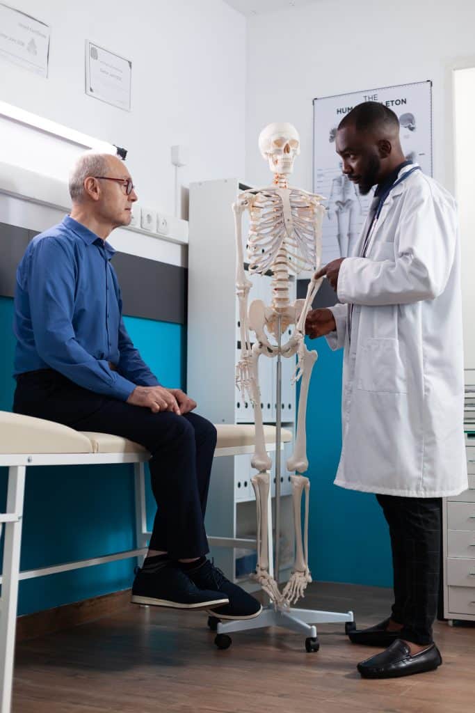 Doctor showing patient model of skeletal system